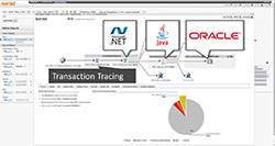 SteelCentral Application Performance Management